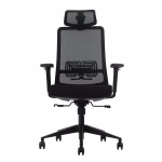 Ergonomska kancelarijska stolica UGD LumbarMax