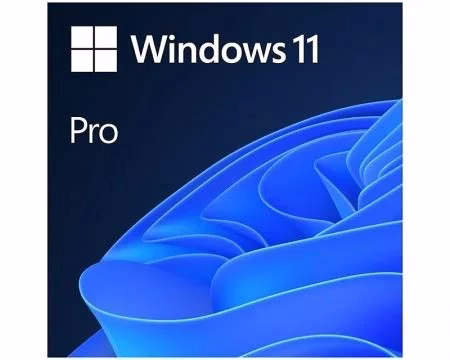Microsoft FPP Windows 11 Pro Eng 64bit