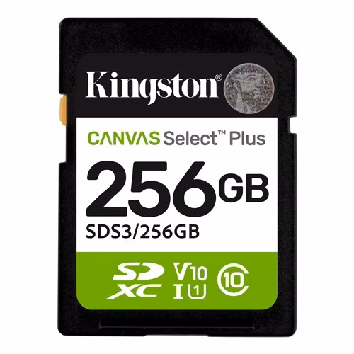 SD Card 256GB Kingston SDS3/256GB class 10