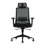 Ergonomska kancelarijska stolica UGD LumbarMax