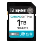 SD Card 1TB Kingston SDG4/1TB class 10 200Mbs/160MBs